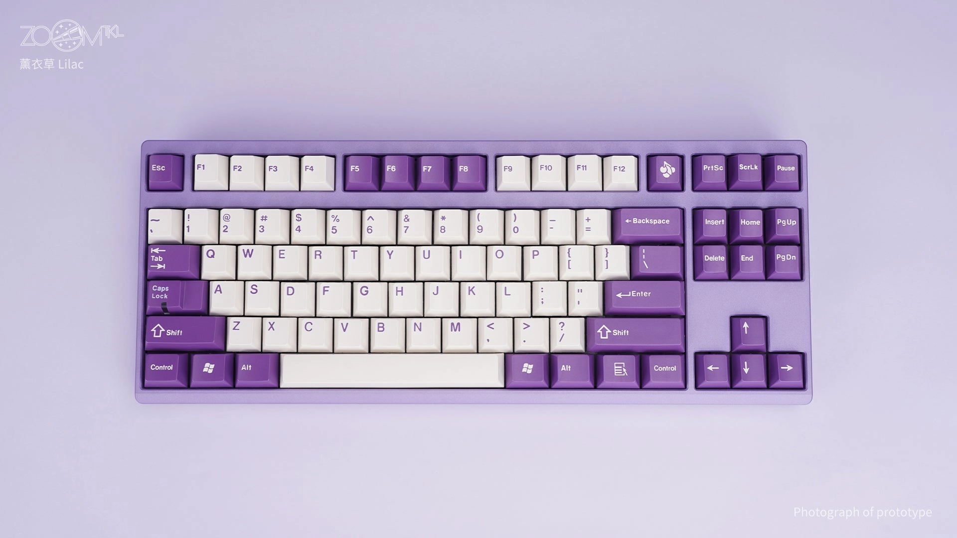 [Limited Stock] ZOOM TKL ESSENTIAL EDITION-Lilac Classic Active Gear