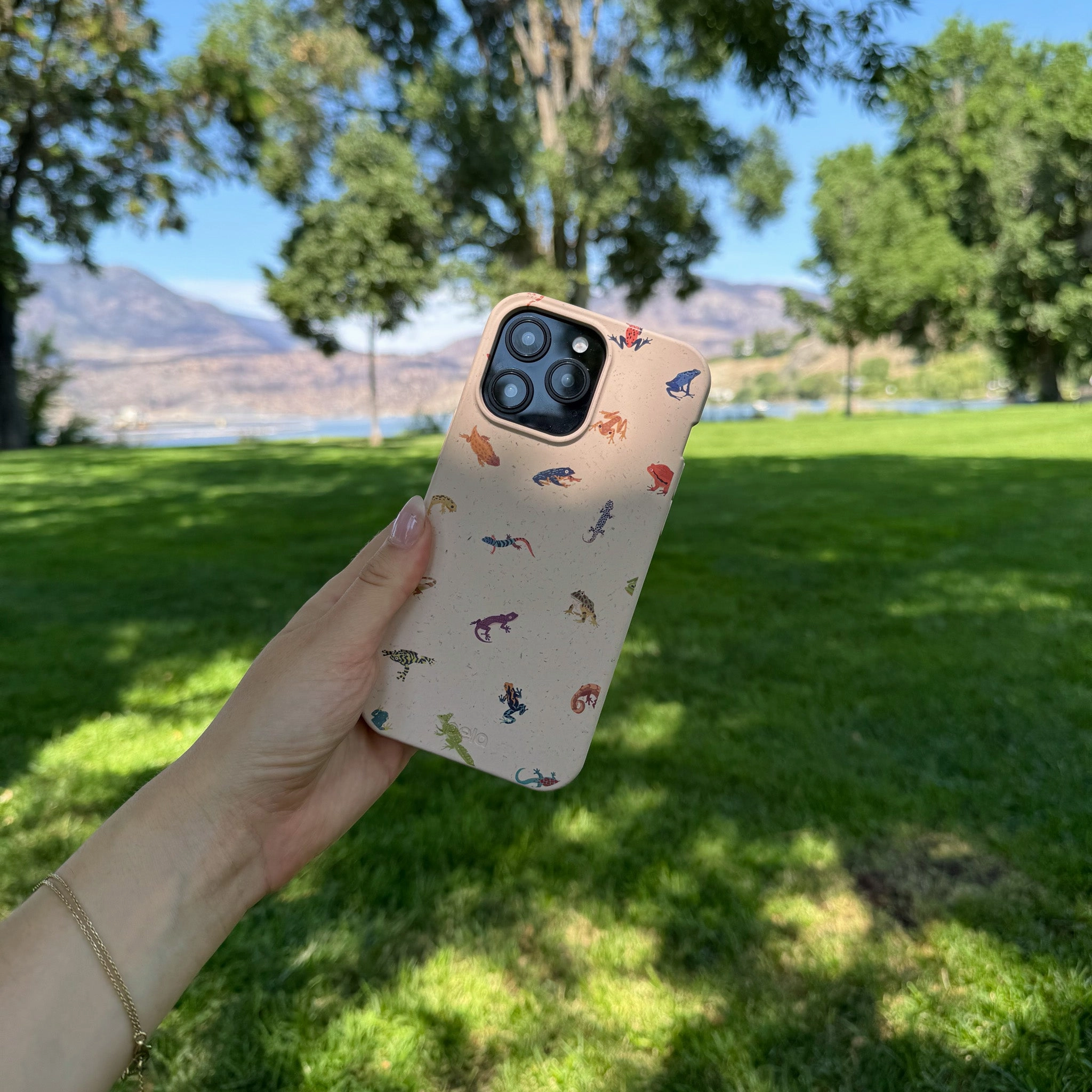 Seashell Tiny Amphibians iPhone 17 Pro Max Case Grip Safe Polished Style